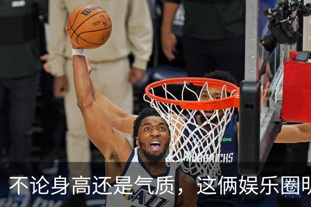 不论身高还是气质，这俩娱乐圈明星，都输给了搞体育的汪顺，真不冤