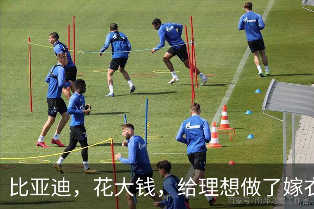 比亚迪，花大钱，给理想做了嫁衣