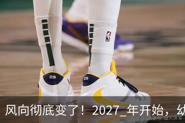 风向彻底变了！2027 年开始，幼儿园、养老院、月嫂行业或迎大变局