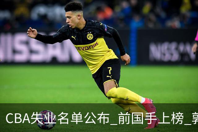 CBA失业名单公布 前国手上榜 郭艾伦拒绝退役 邱彪爱将尴尬